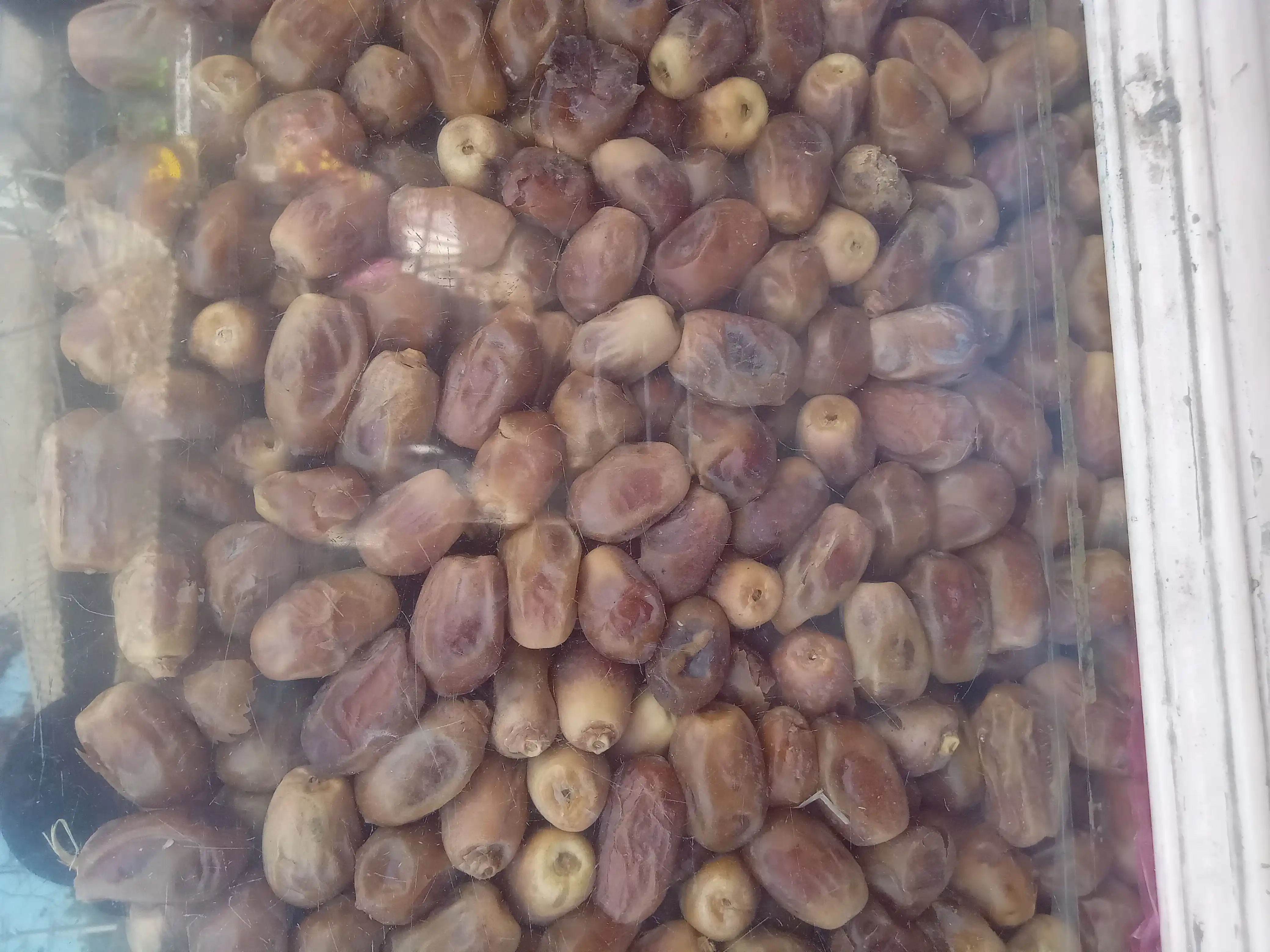 জাহিদি খেজুর